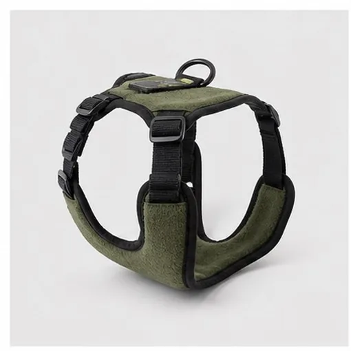Collars & Leads