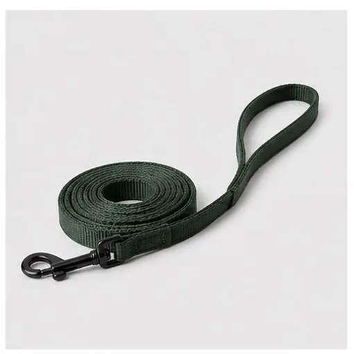 2 m Training Lead — Small